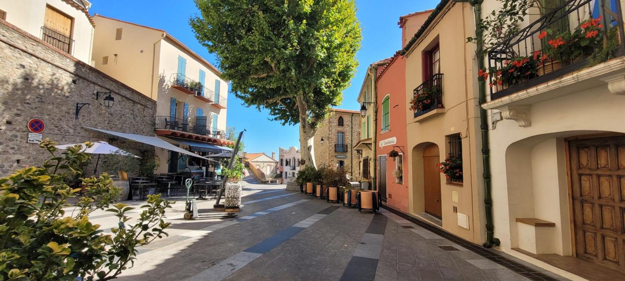 Chambre Climatisee Entre Mer Et Montagne, Avec Sdb Et Wc Privatifs Laroque-des-Albères Exterior foto